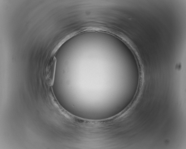 X0000113541385200909181013