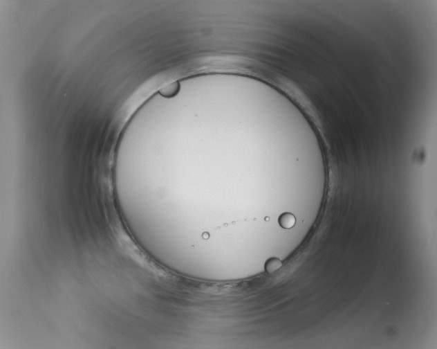 X0000113541386200909181013