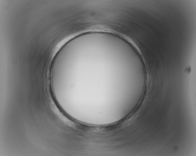 X0000113541387200909181013