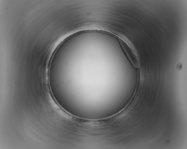 X0000113541388200909181013