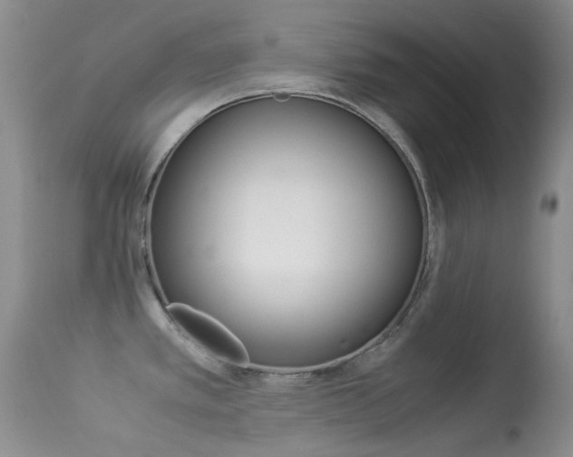 X0000113541389200909181013