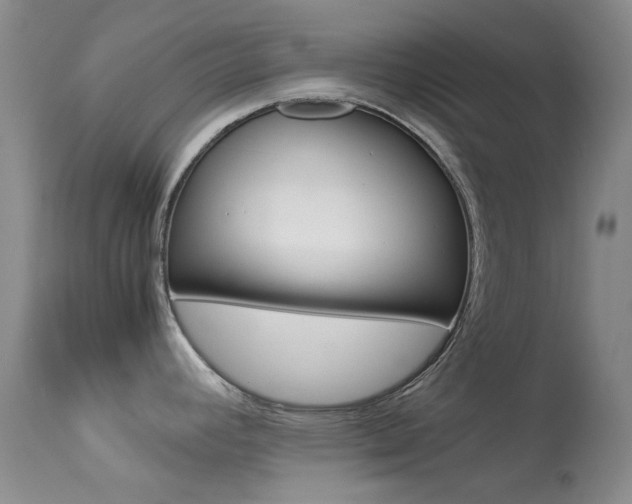 X0000113541392200909181013