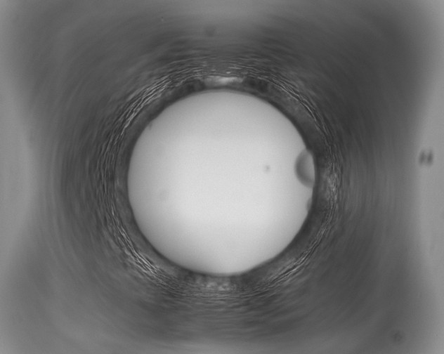 X0000113541393200909181012