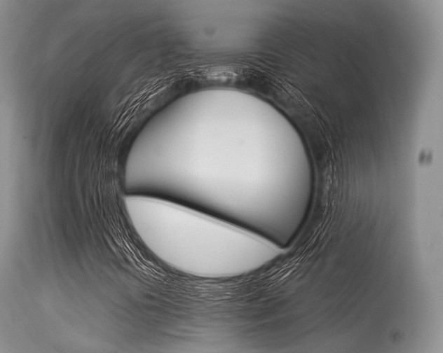 X0000113541394200909181012