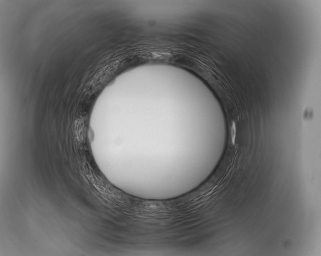 X0000113541395200909181012