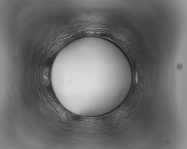 X0000113541396200909181012