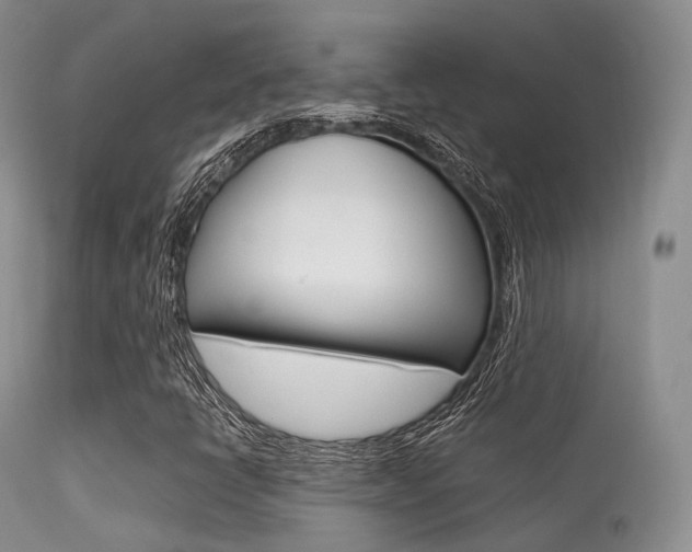 X0000113541398200909181012