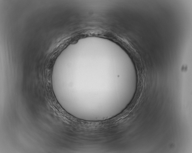 X0000113541399200909181012
