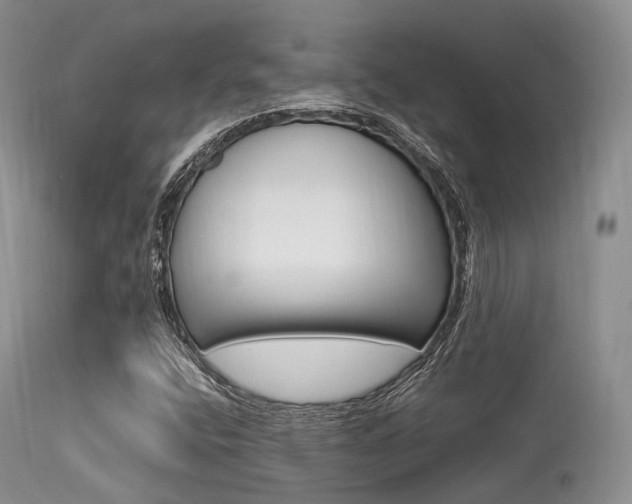 X0000113541400200909181012