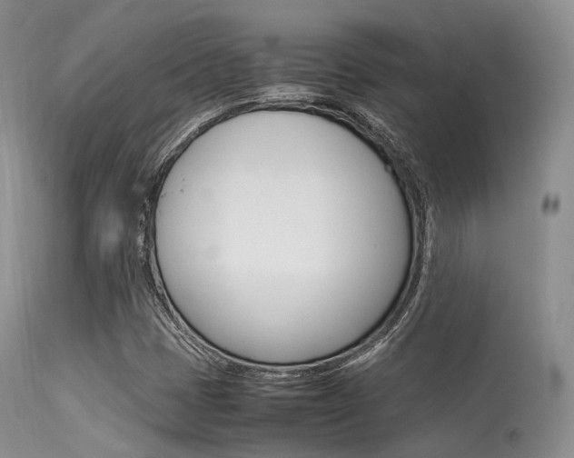 X0000113541401200909181012