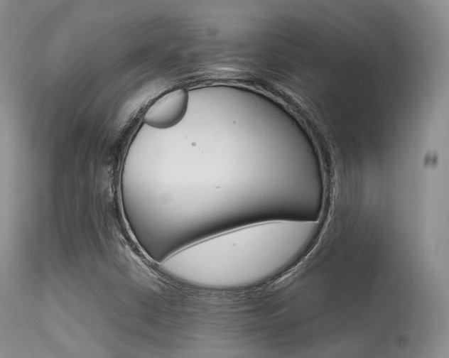 X0000113541402200909181012