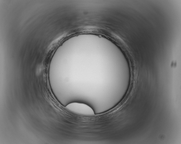 X0000113541403200909181012