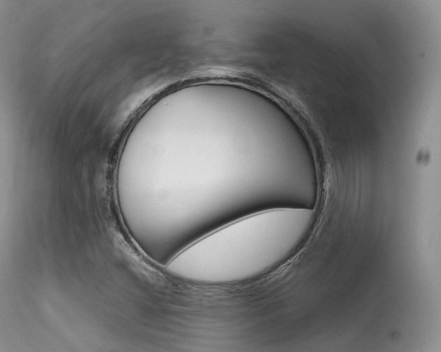 X0000113541404200909181012