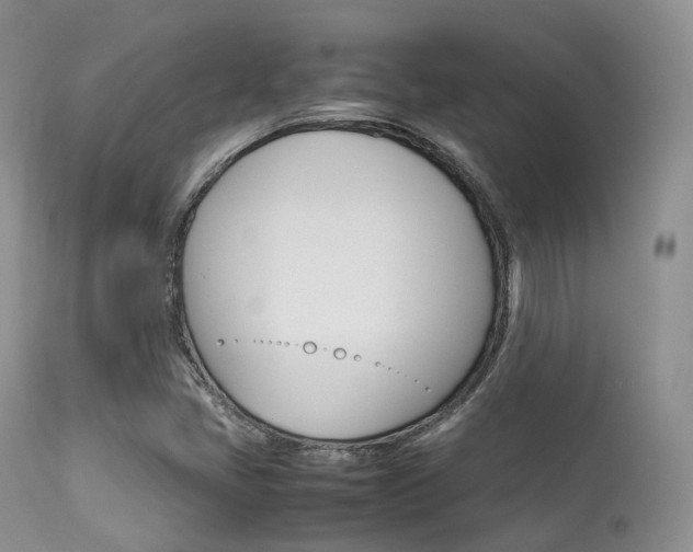 X0000113541405200909181012