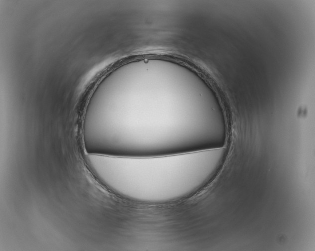 X0000113541406200909181012
