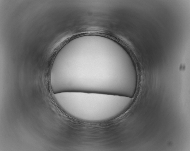 X0000113541407200909181012