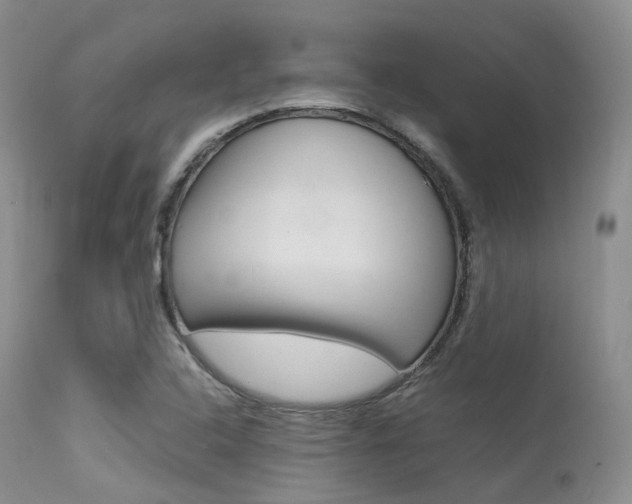 X0000113541408200909181012