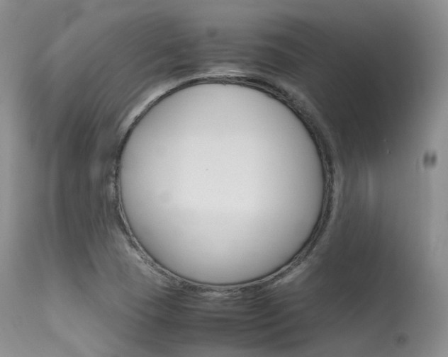 X0000113541409200909181012
