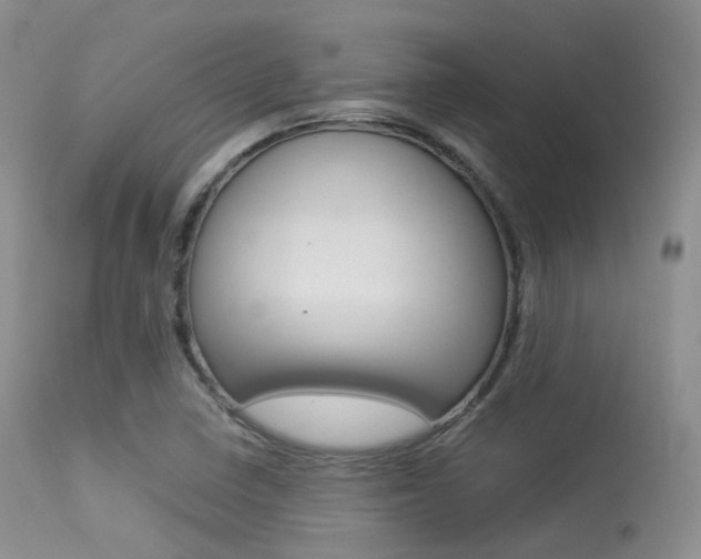 X0000113541410200909181012
