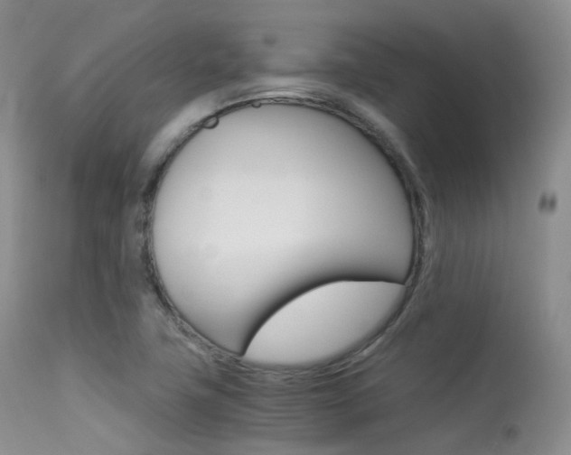 X0000113541411200909181012