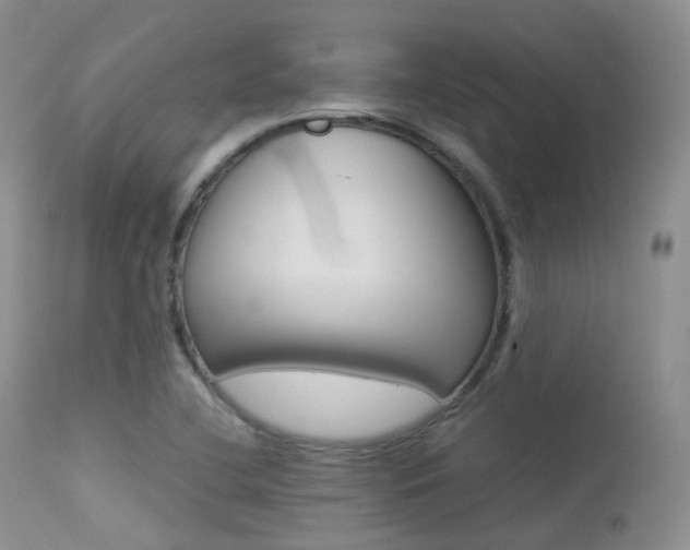 X0000113541412200909181012