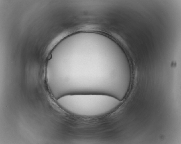 X0000113541413200909181012