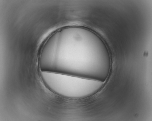 X0000113541414200909181012
