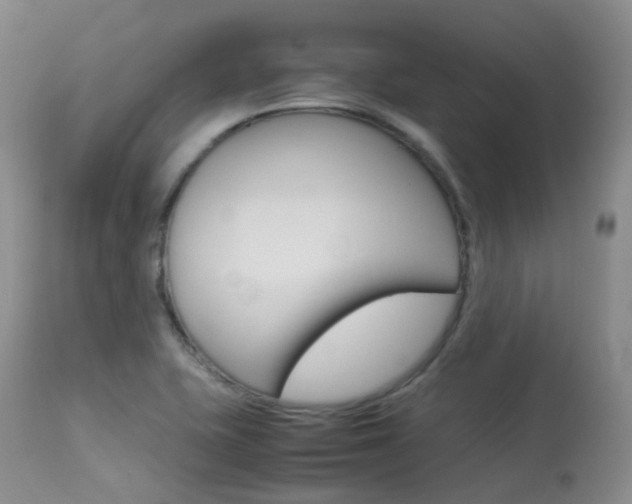X0000113541415200909181012