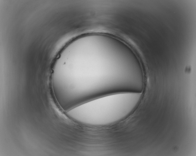 X0000113541416200909181012