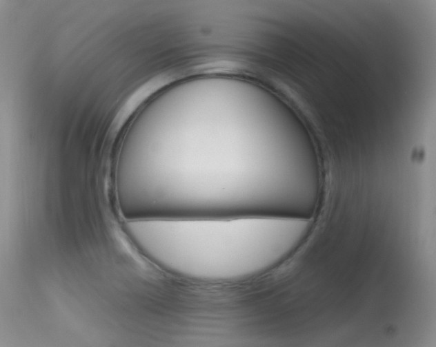 X0000113541418200909181012