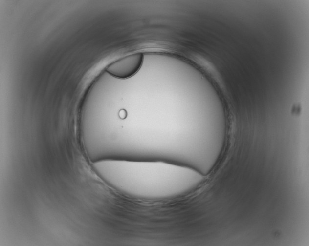 X0000113541419200909181012