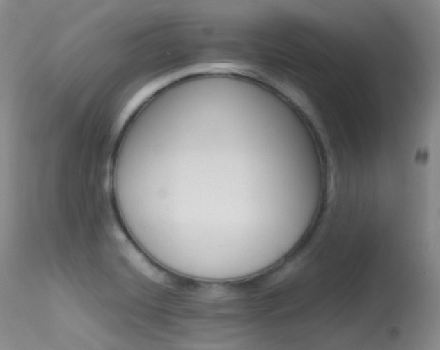 X0000113541420200909181013