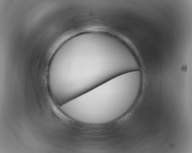 X0000113541421200909181013