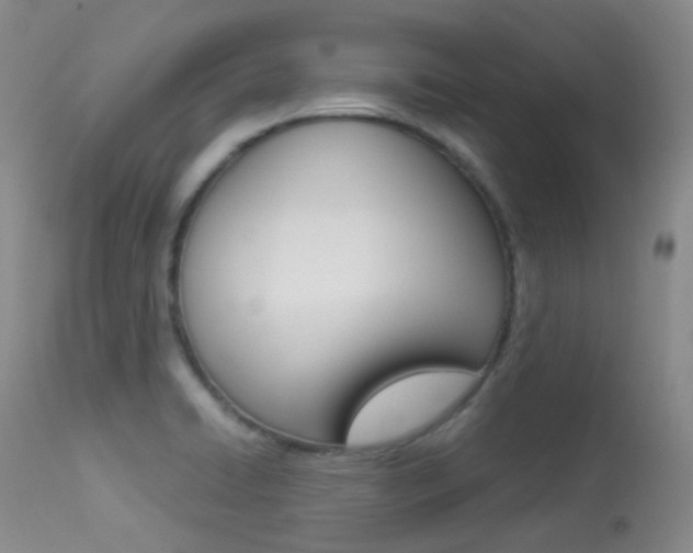 X0000113541422200909181013