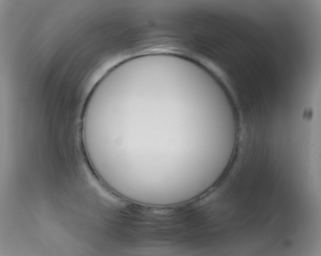 X0000113541423200909181013