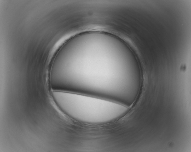 X0000113541424200909181013