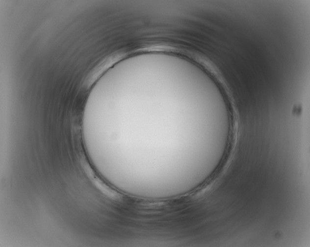 X0000113541425200909181013
