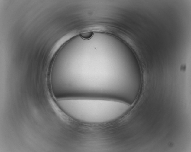 X0000113541426200909181013