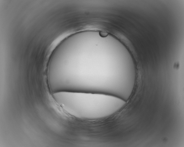 X0000113541427200909181013