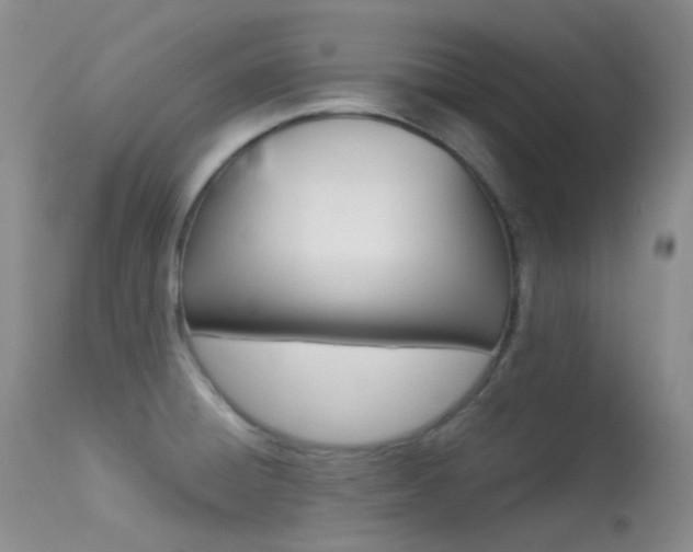 X0000113541428200909181013