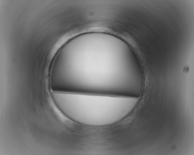 X0000113541430200909181013