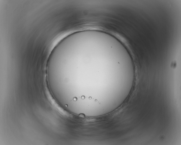 X0000113541431200909181013