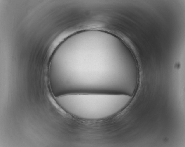 X0000113541432200909181013
