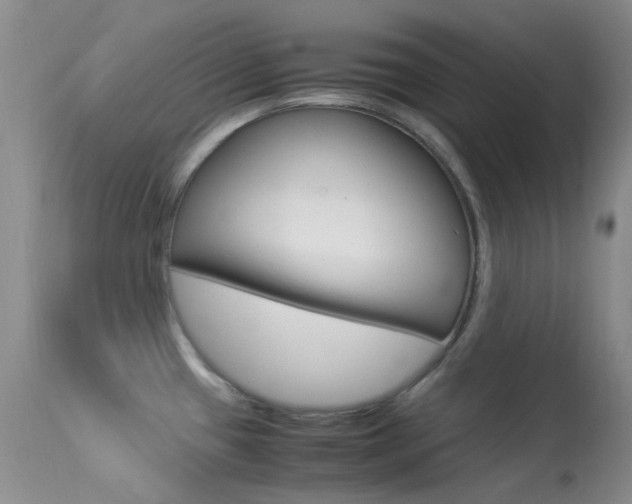 X0000113541433200909181013