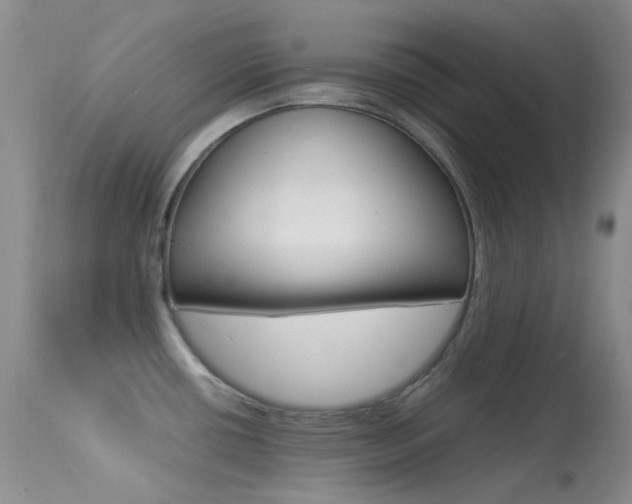 X0000113541434200909181013