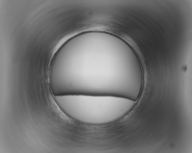 X0000113541436200909181013