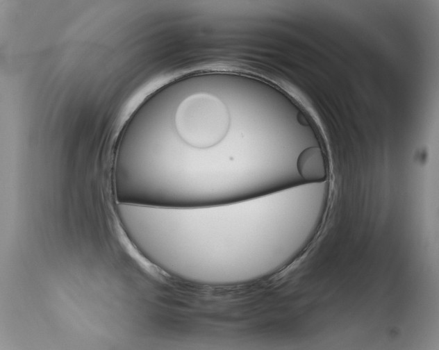 X0000113541437200909181013