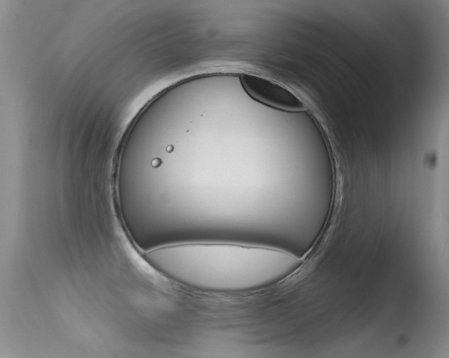 X0000113541438200909181013