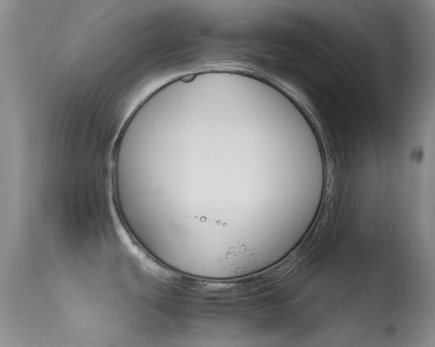 X0000113541439200909181013