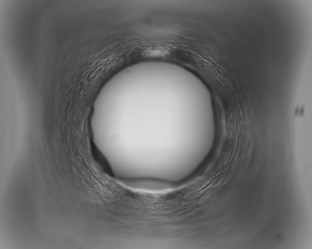 X0000113541441200909181012
